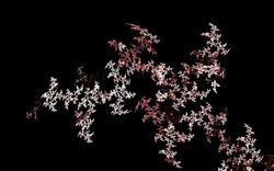 Apo7x-130201-21 (2).jpg